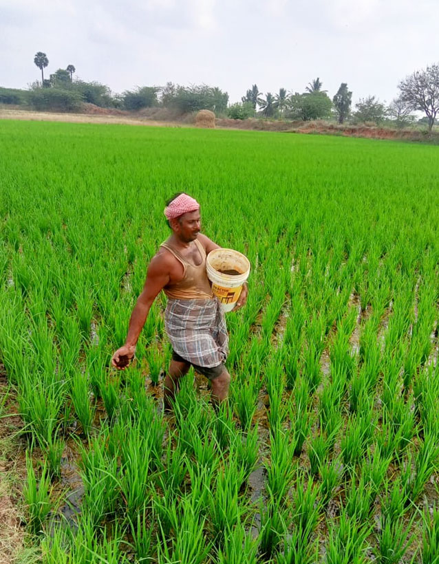 Grama Seva Sangam, Kilikkudi