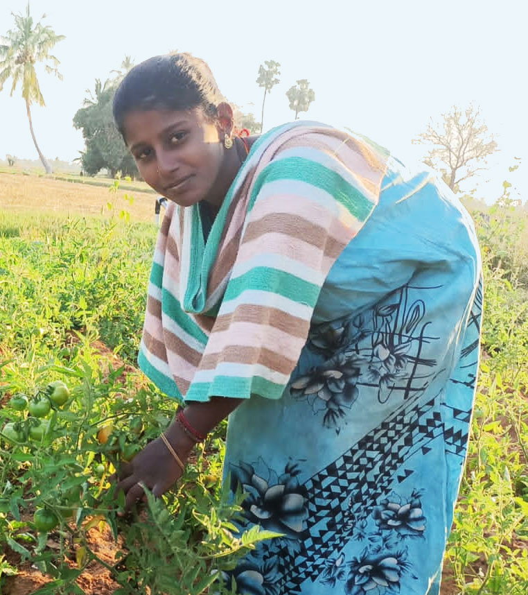 Grama Seva Sangam