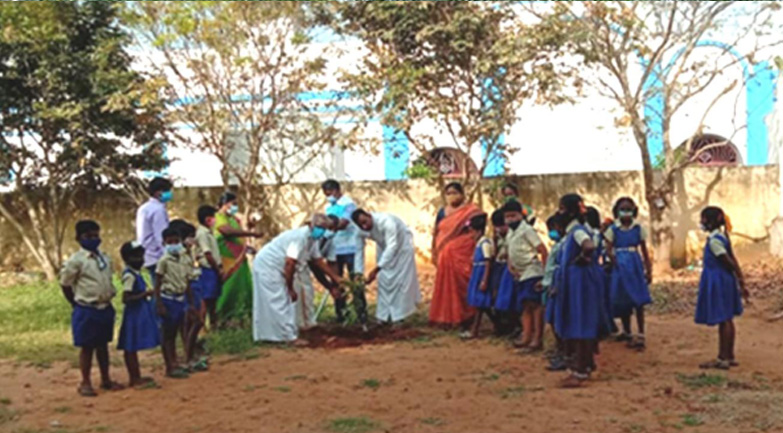 Saplings for schools